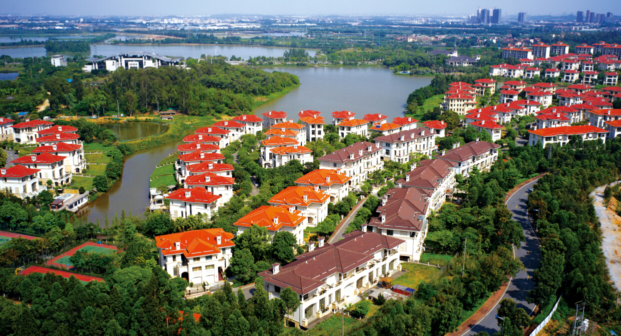 ����¥��